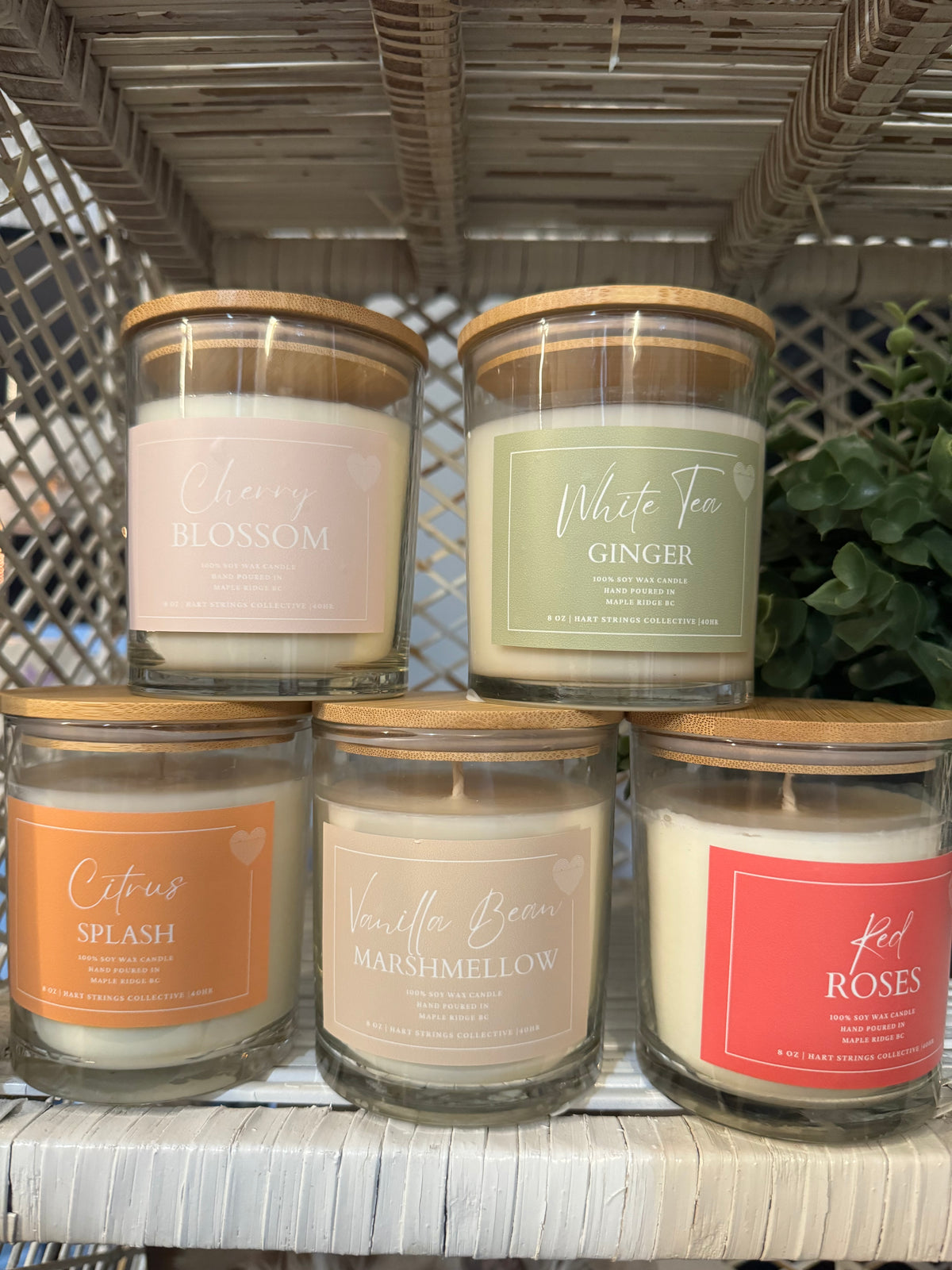 Citrus Splash Soy Candle 8oz