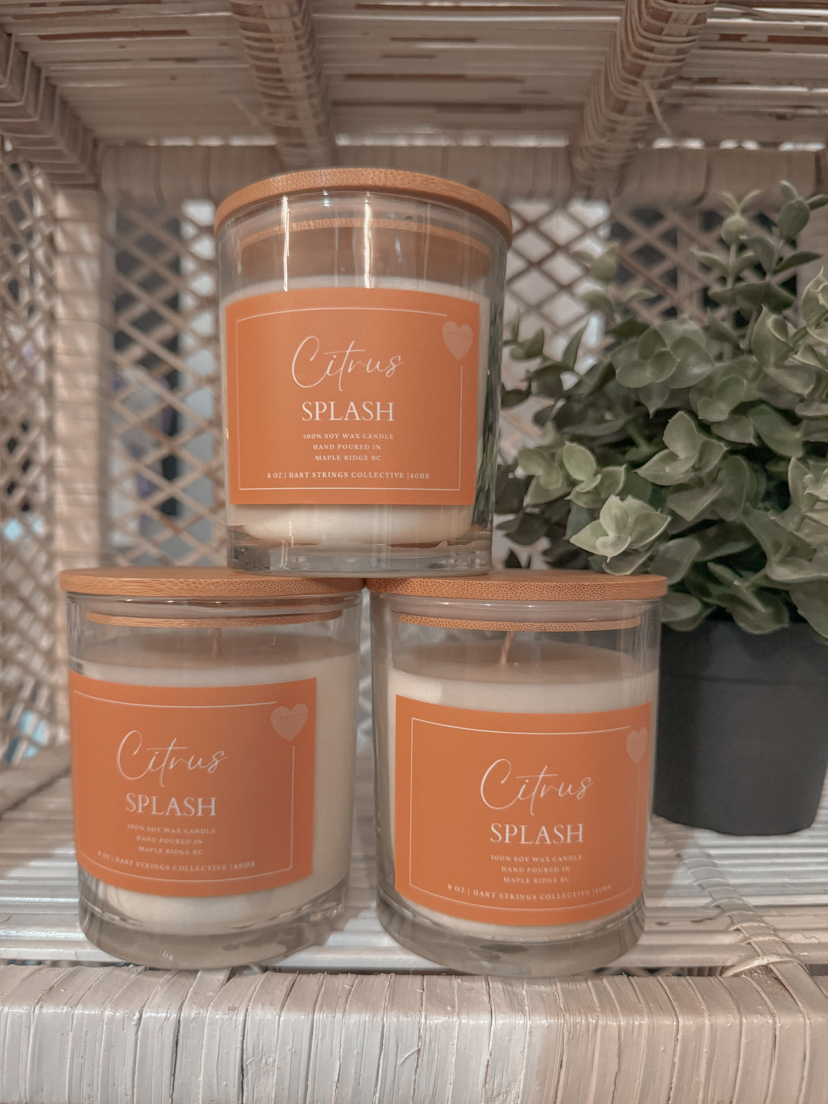 Citrus Splash Soy Candle 8oz