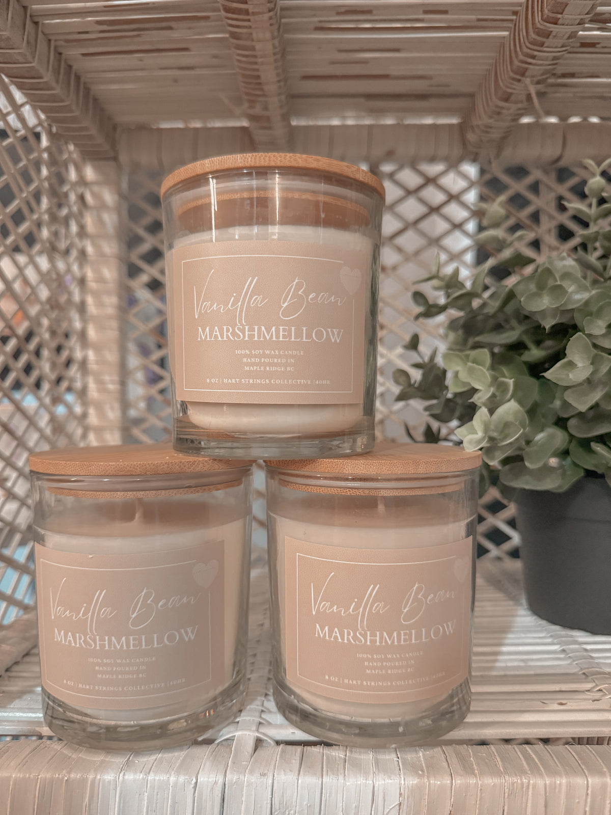 Vanilla Bean Marshmellow Soy Candle 8oz