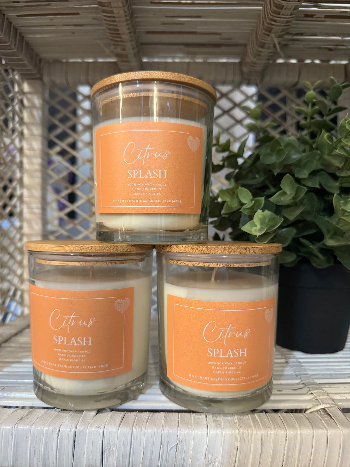 Citrus Splash Soy Candle 8oz